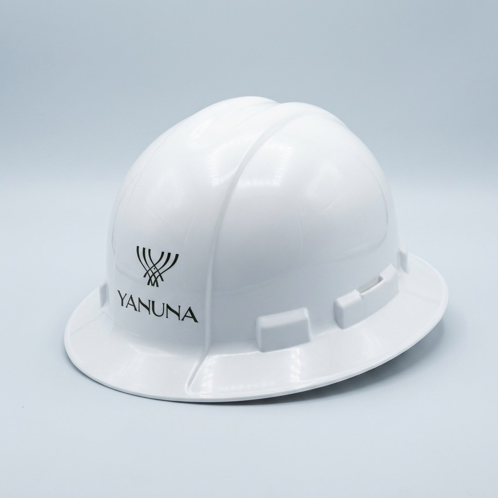 Casco de ala completa rotulado